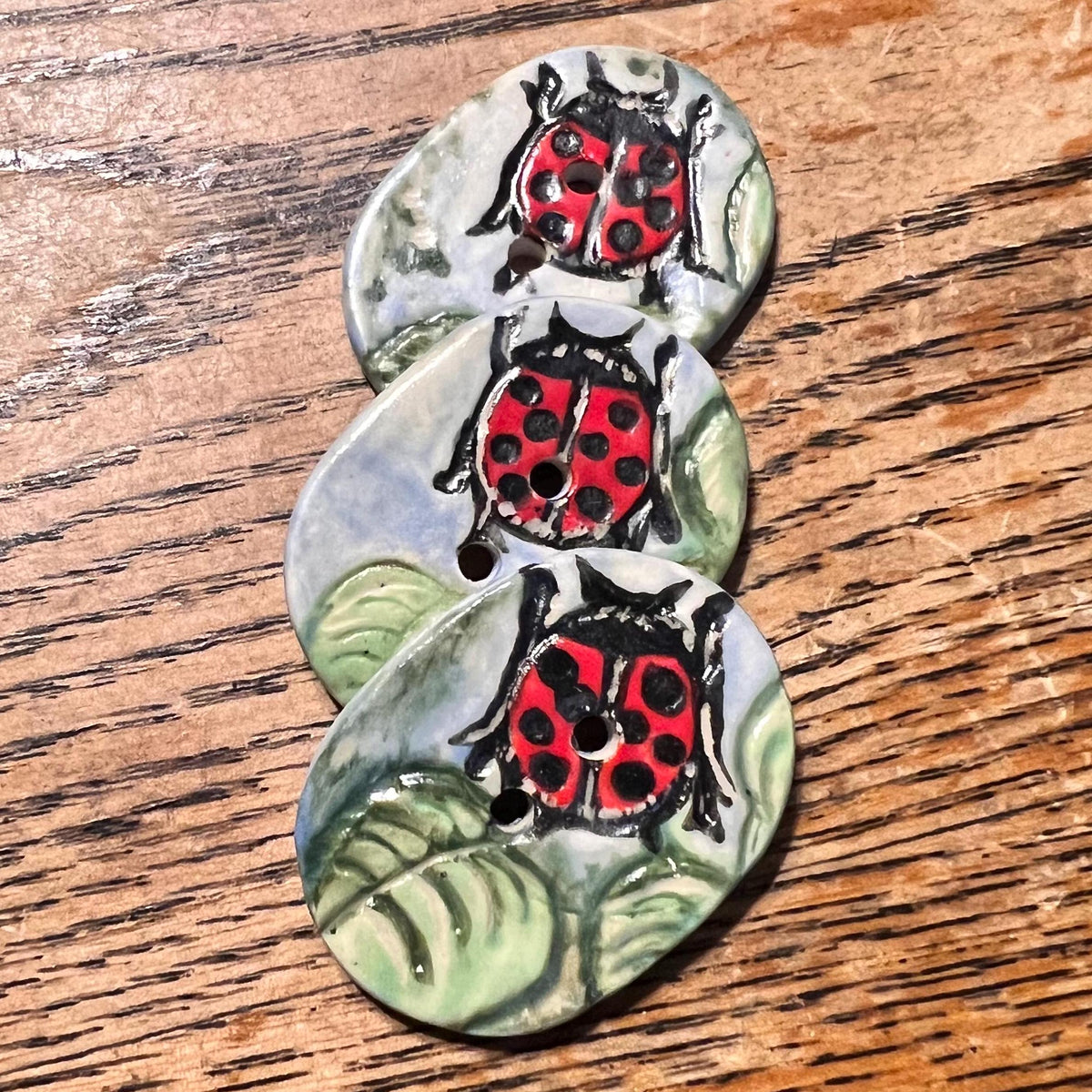 Ladybug in the garden Oval Shaped Ceramic Buttons