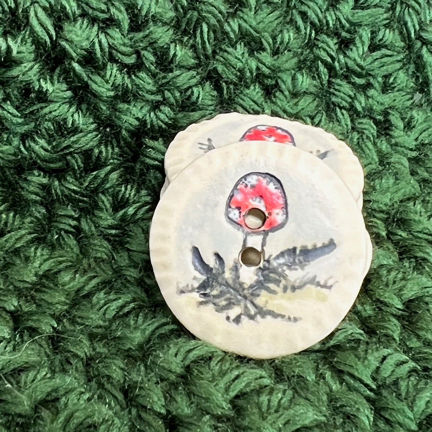 Red and White Cap Mushroom with Fern on White Round Button