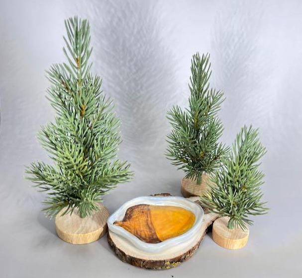 Small Acorn Trinket Dish/Catchall
