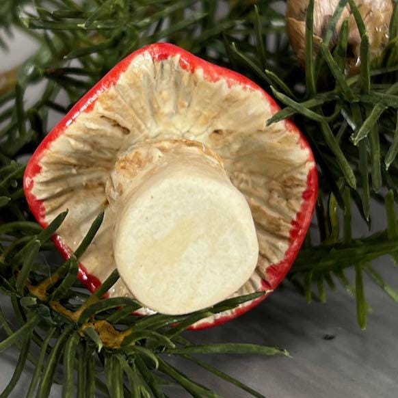 Red and White Mushroom Ceramic Ornament #3