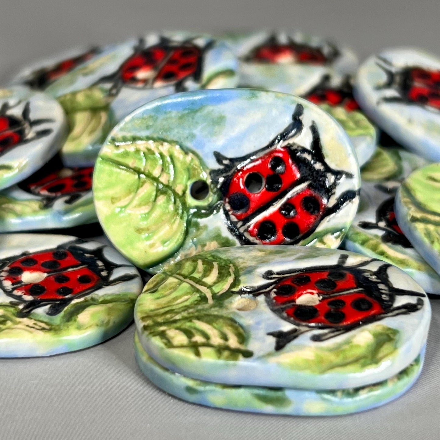 Ladybug in the garden Oval Shaped Ceramic Buttons