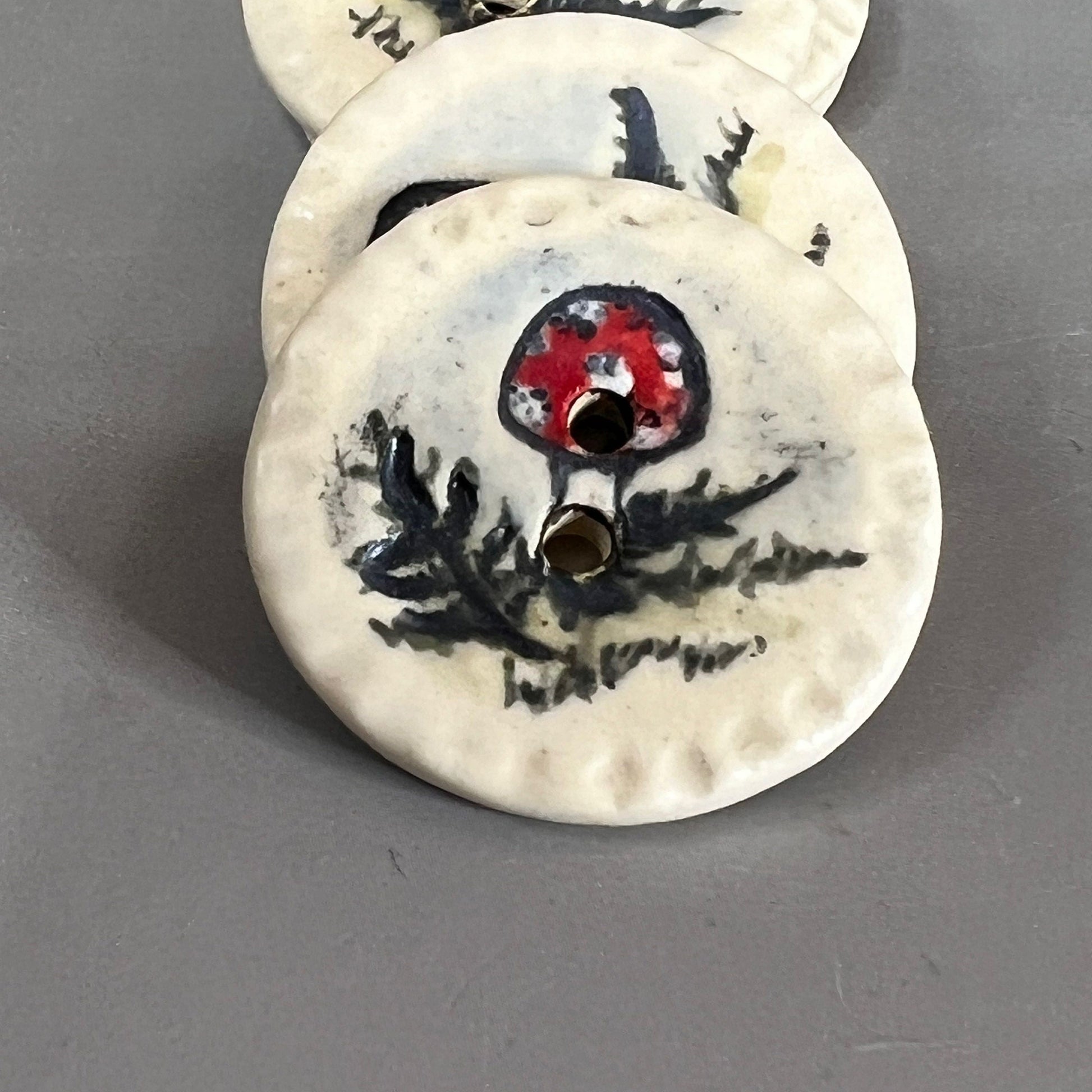 Red and White Cap Mushroom with Fern on White Round Button