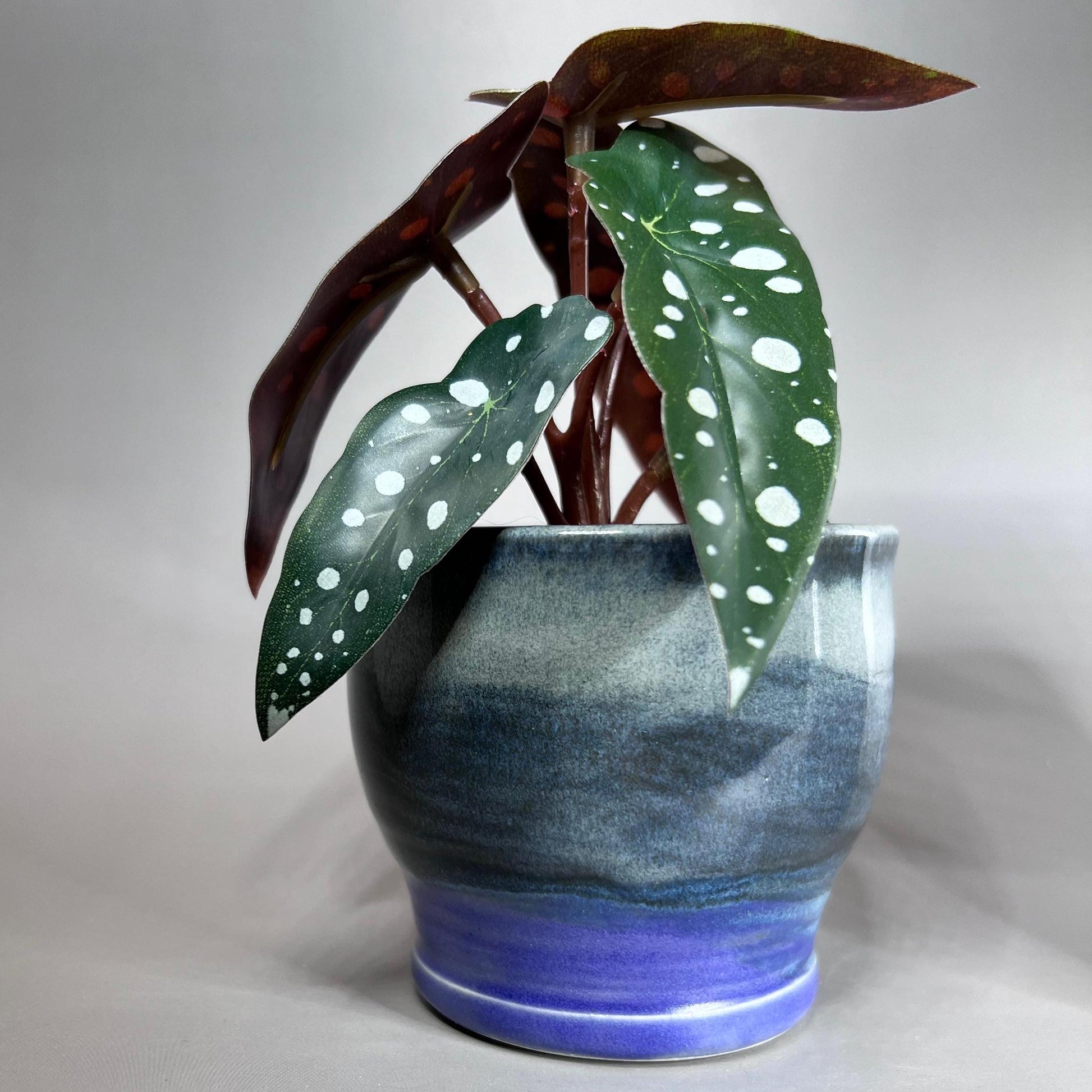 Blue and Purple Small Cache Pot