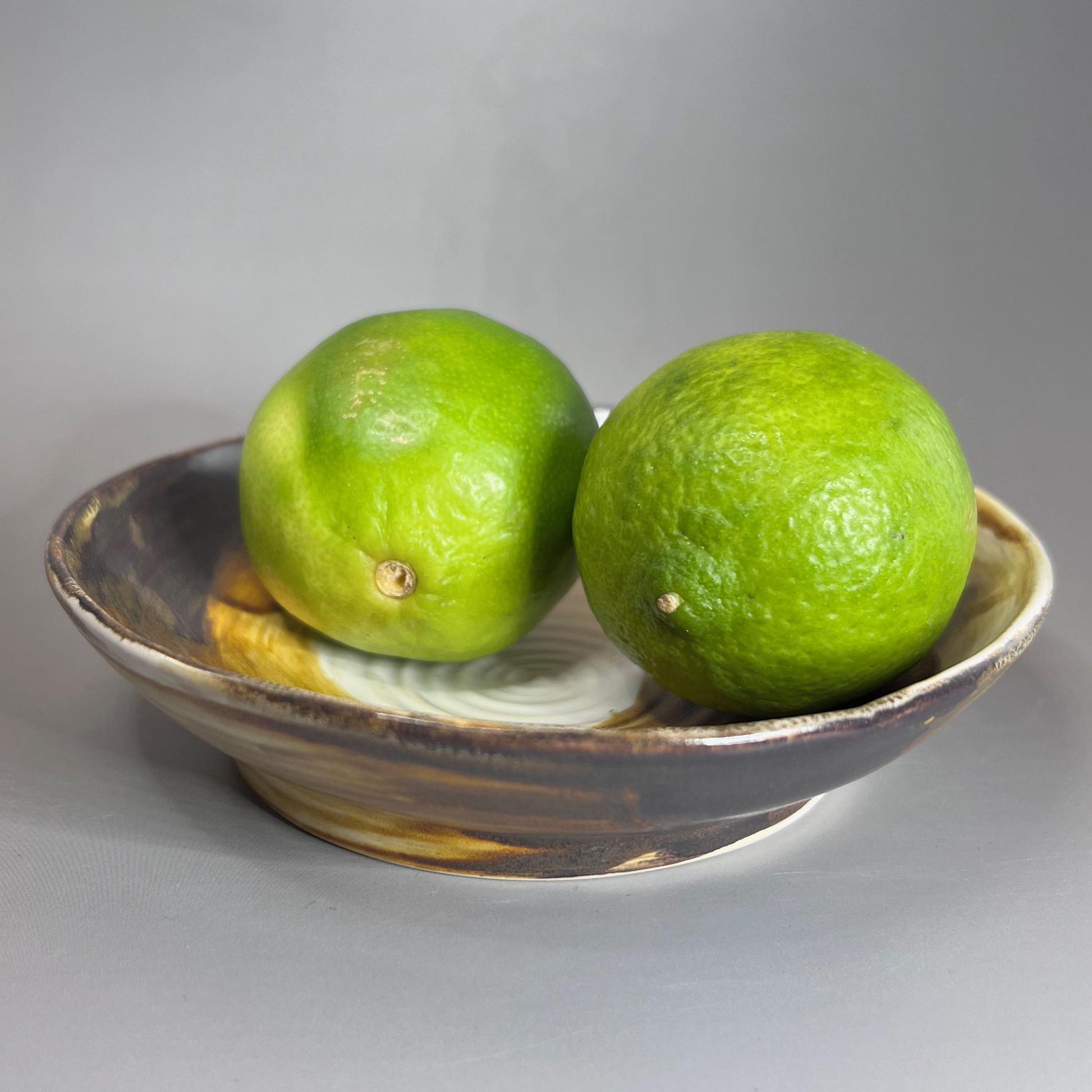 Shallow White with Copper Dish