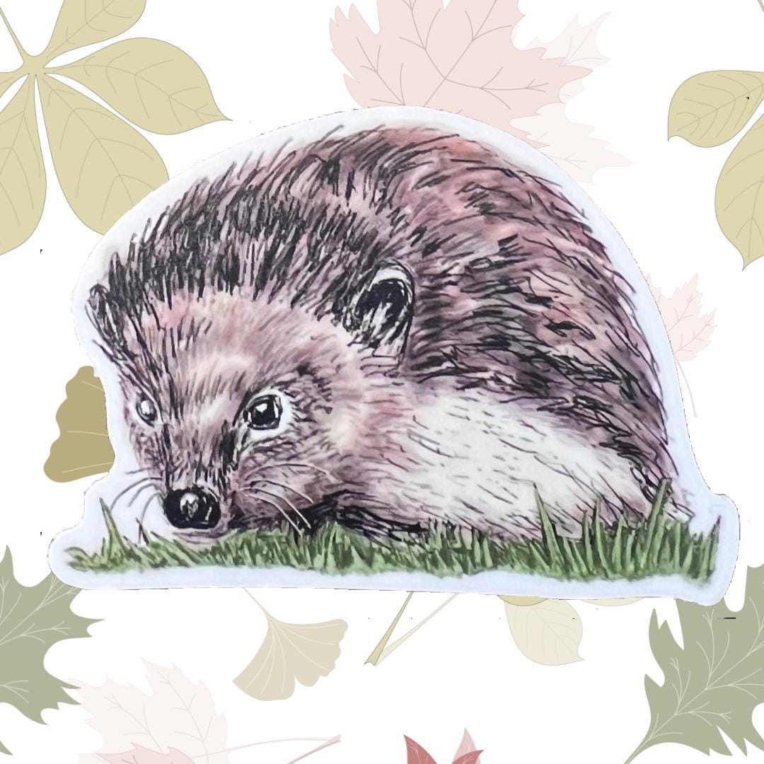 Hedgehog Drawing 2.5" Vinyl Sticker