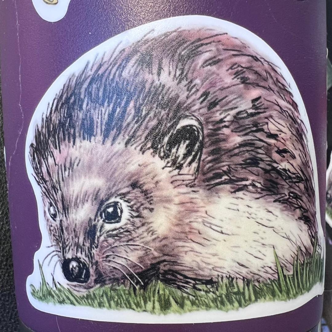 Hedgehog Drawing 2.5" Vinyl Sticker