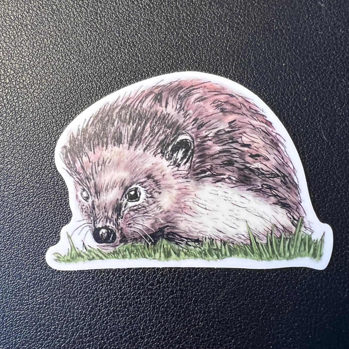 Hedgehog Drawing 2.5" Vinyl Sticker