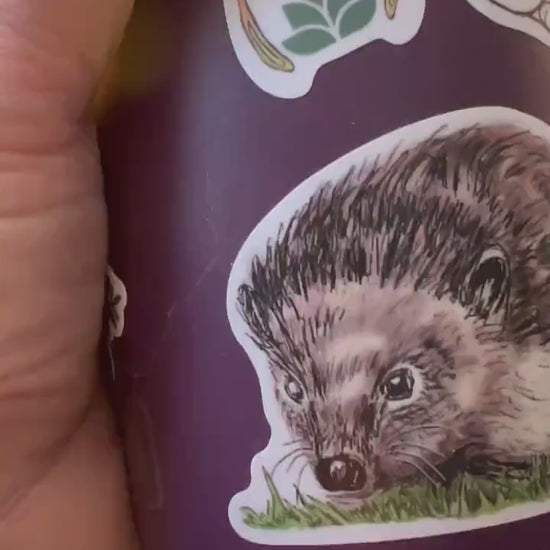 Hedgehog Drawing 2.5" Vinyl Sticker