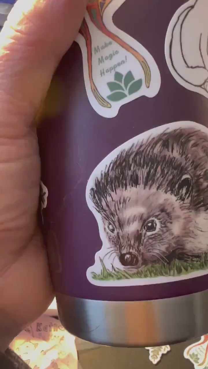 Hedgehog Drawing 2.5" Vinyl Sticker